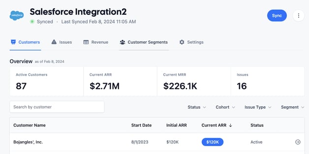 Salesforce Data Source Detail Page 1